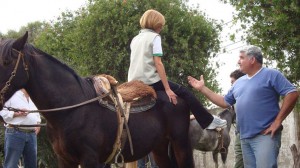 192922_221215427926771_135153_o