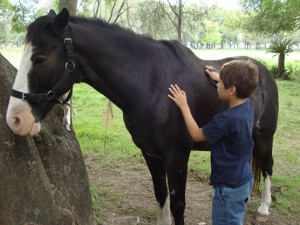 64707_557476407634003_1621288953_n