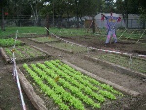 Vivero Inclusivo 2