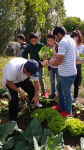 IMG_20161007_154538465