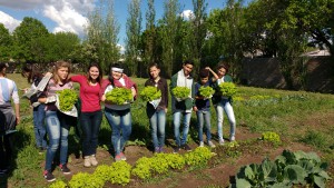 IMG_20161007_155431256